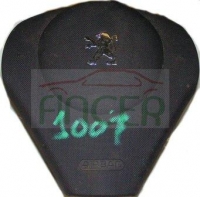 Peugeot_1007_4f0ca61c00656.jpg